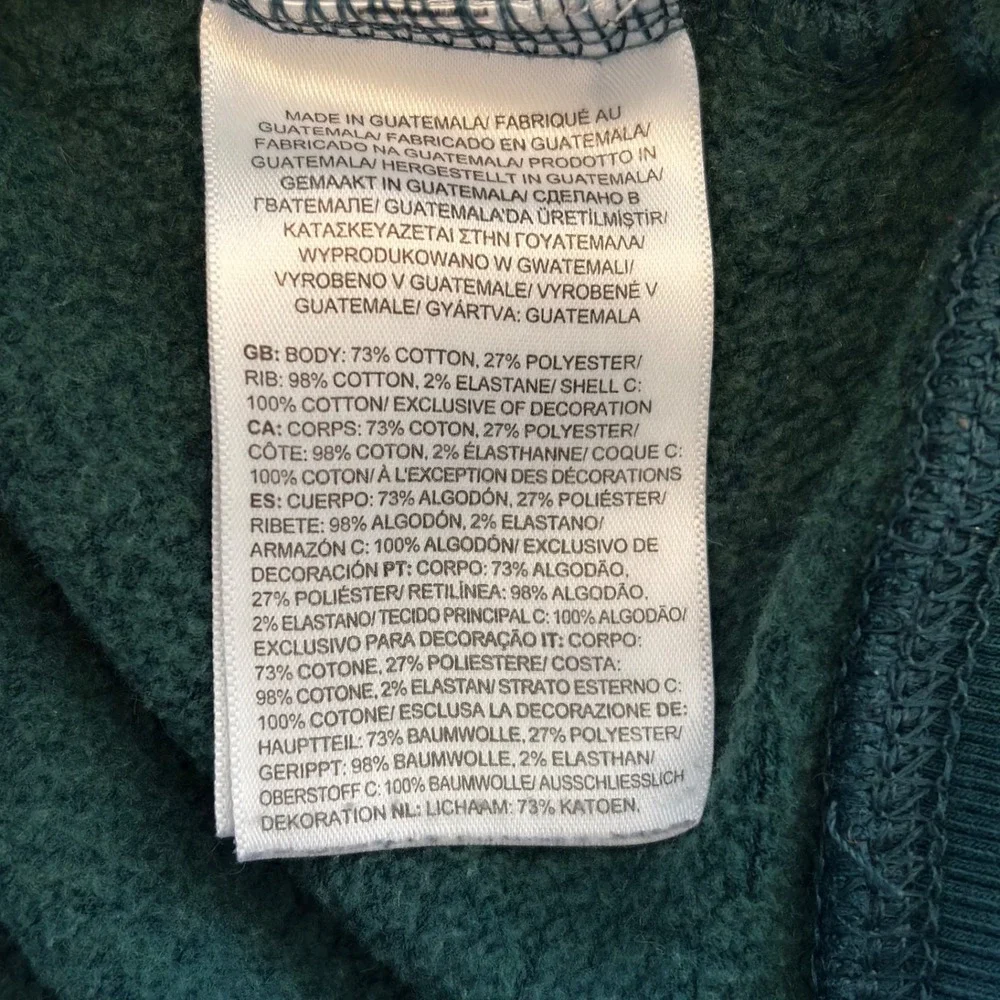 The North Face Men's Box NSE Pullover Hoodie Ponderosa Green M‎